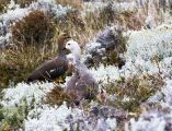 Foto: Tierra del Fuego. Gateway to the Icy Continent